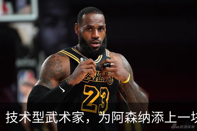 技术型武术家，为阿森纳添上一块拼图